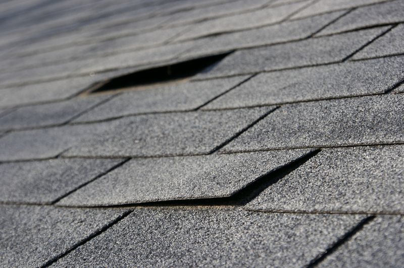 Shingle Repair